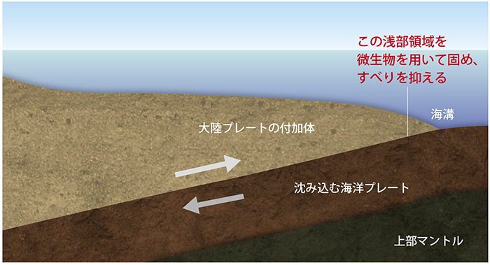 図
