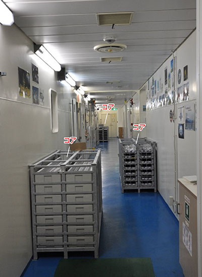 写真6　コア
