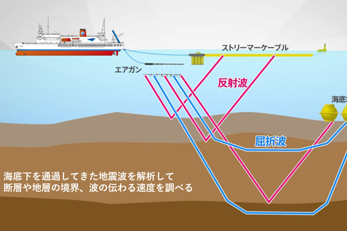 ネムの木は地震を予知する 大地震を二日まえにキャッチ