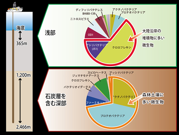 図