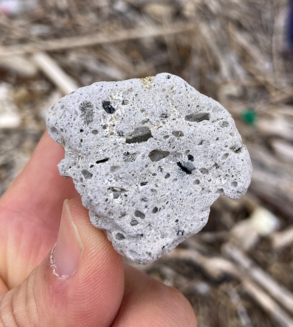 図６　新しく漂着した白い「麩菓子」のような軽石（2025年２月18日、沖縄）