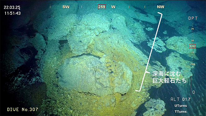 図８　孀婦海山の海底地質調査で見つかった巨大な軽石（KM25-02航海 Leg2 による）