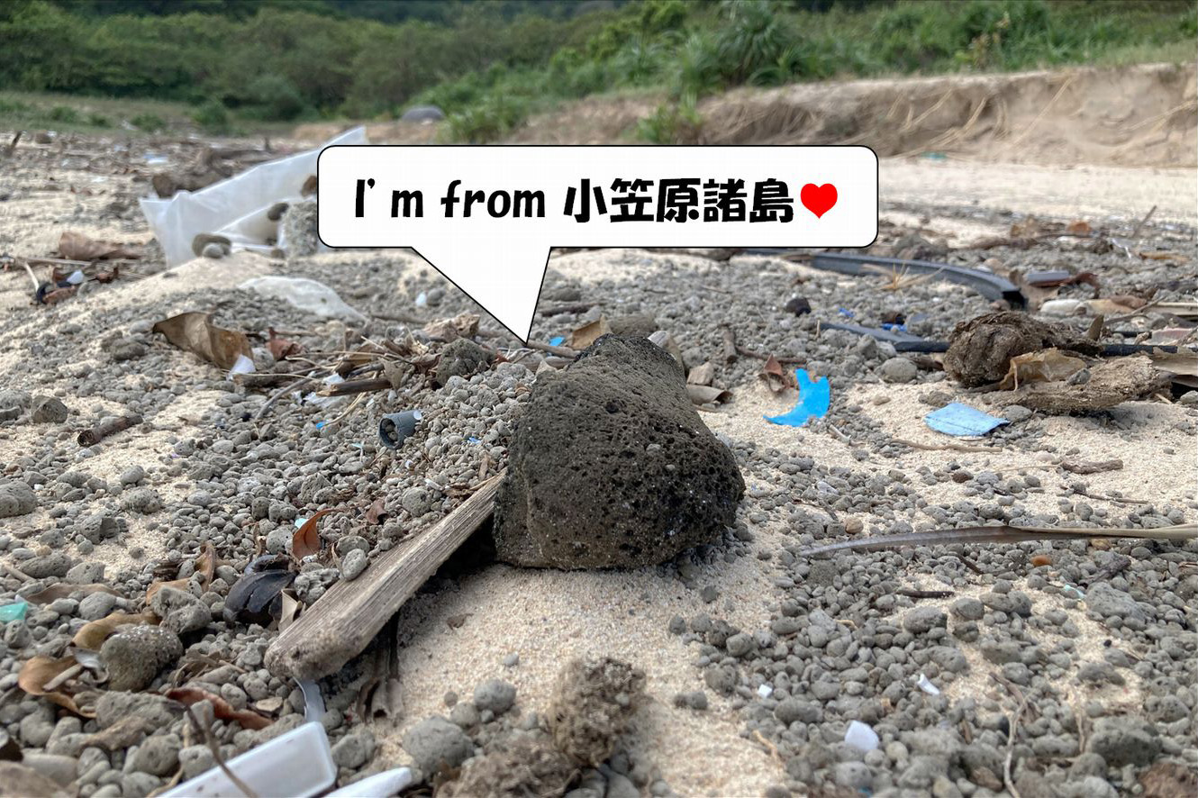 軽石は遠く離れた火山からのメッセージボトル｜JAMSTEC BASE