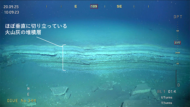 図９　孀婦海山の北東斜面で見つかった、高さ約２ｍの小崖地形。地層断面が綺麗に切り立っていることから、出来てまだ新しいと思われる（KM25-09航海による）