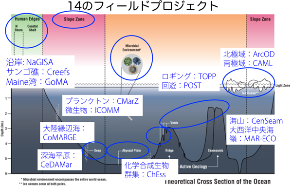 フィールドプロジェクト