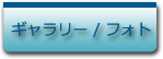 ヘッダギャラリーフォト