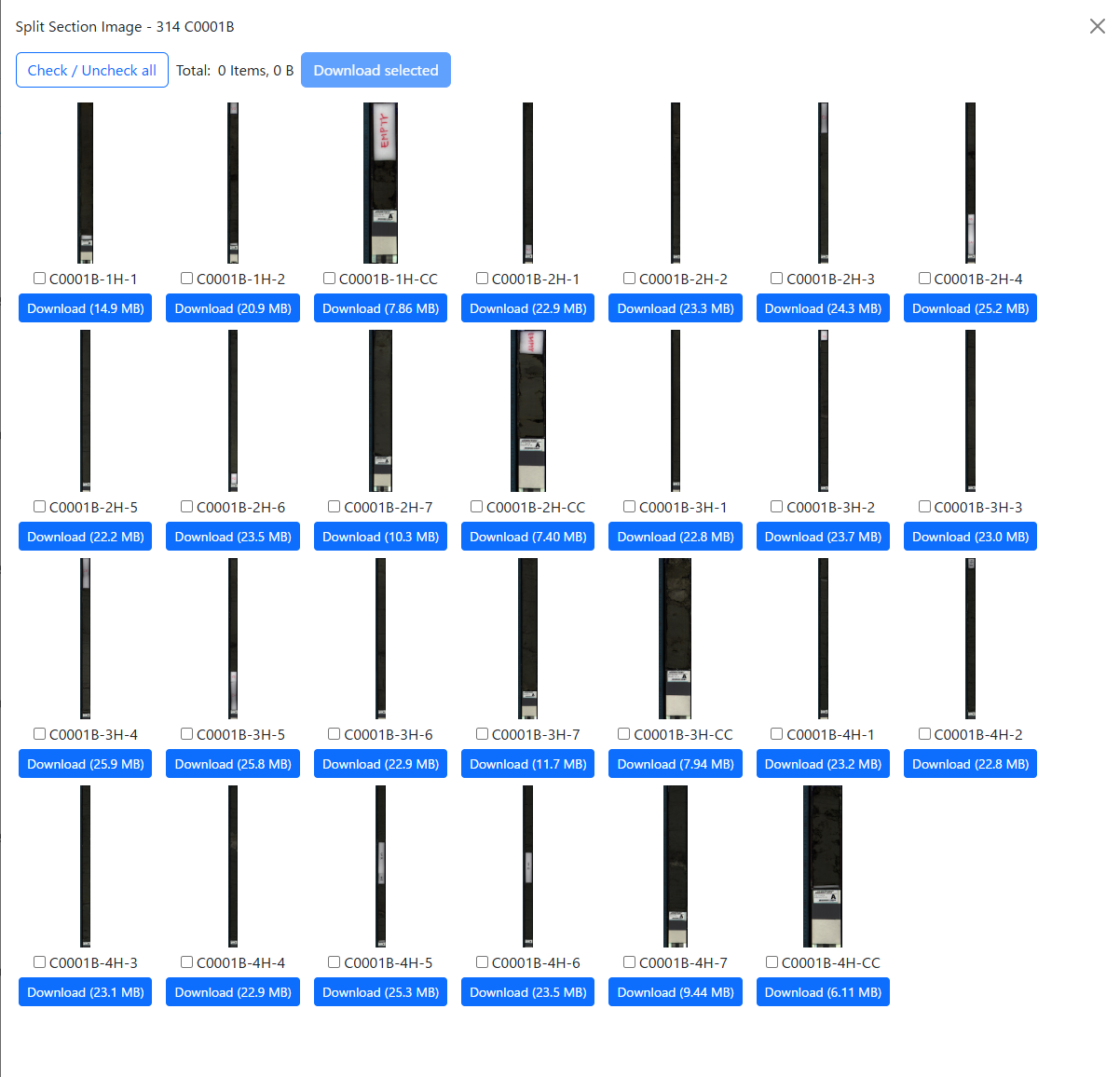 Data Detail Screen Split Section Image Preview