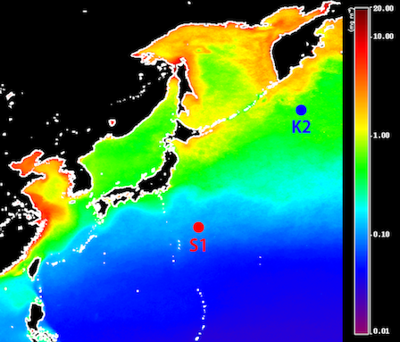 観測定点K2及びS1の位置 （画像は衛星から観測されたクロロフィルa濃度の気候値）