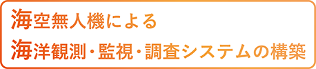 海空無人機による海洋観測・監視・調査システムの構築