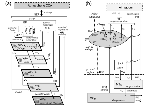 }QFSim-CYCLE̍\B(a)Yfz̃Rp[ggfA(b)MxXL[B