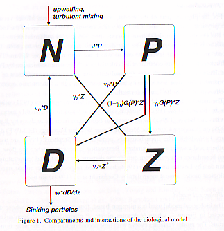 }PF̗pCmԌnf̊TO}BN͏Ɏ_AP͐AvNgAZ͓vNgAD̓fgC^Xꂼ\B