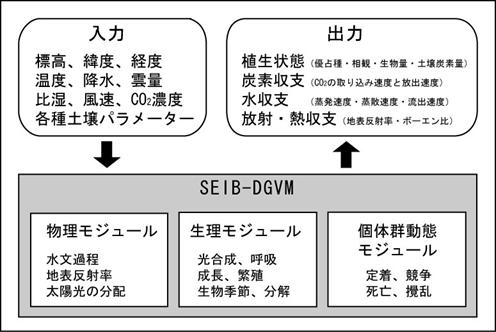 }19:SEIB-DGVM̊{\ƁAo