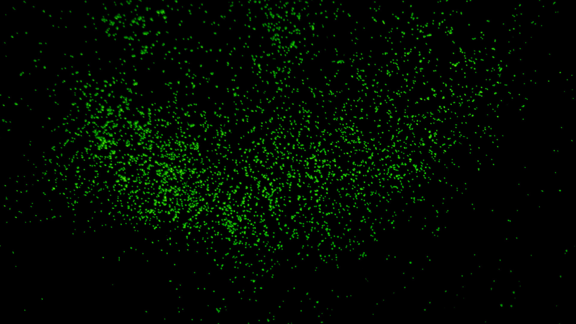 DNAの反応の様子