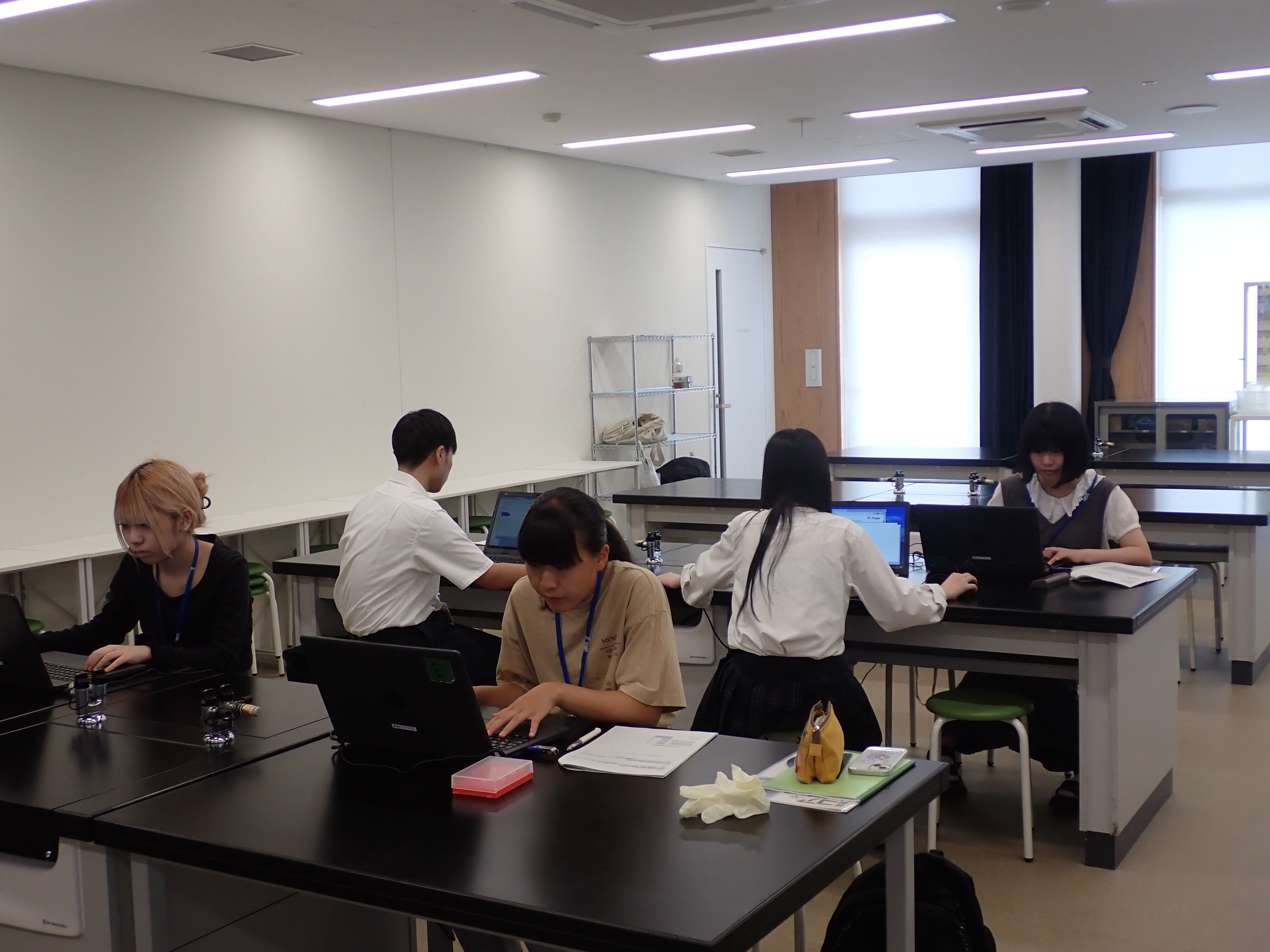 電気泳動の結果の確認作業