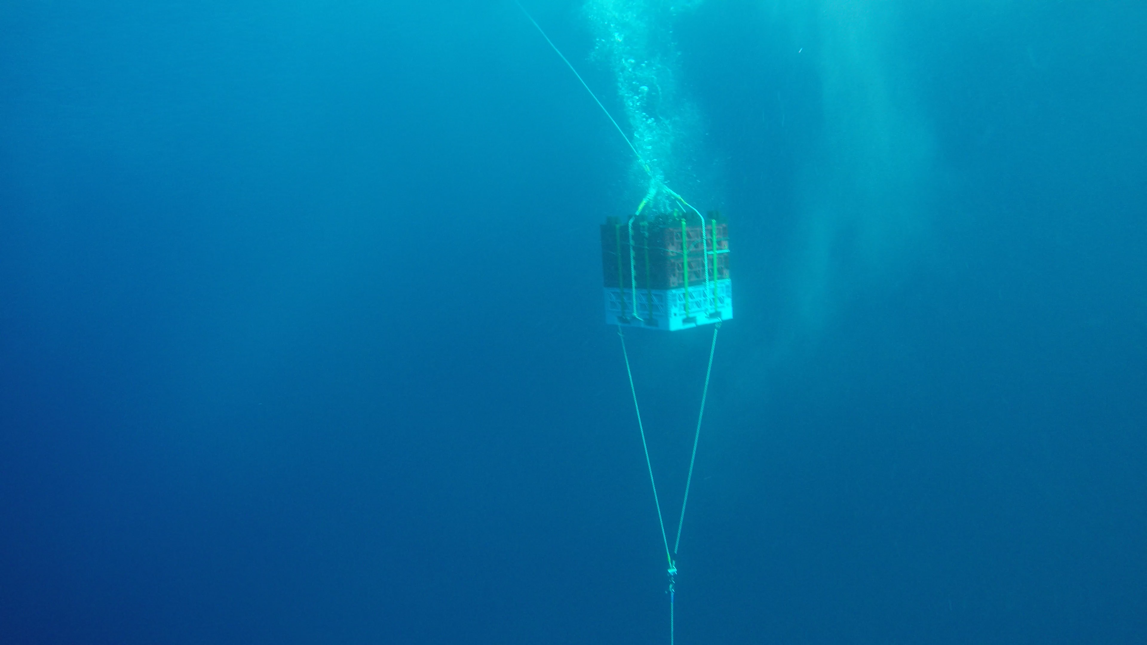 深海へ降ろされる装置の様子