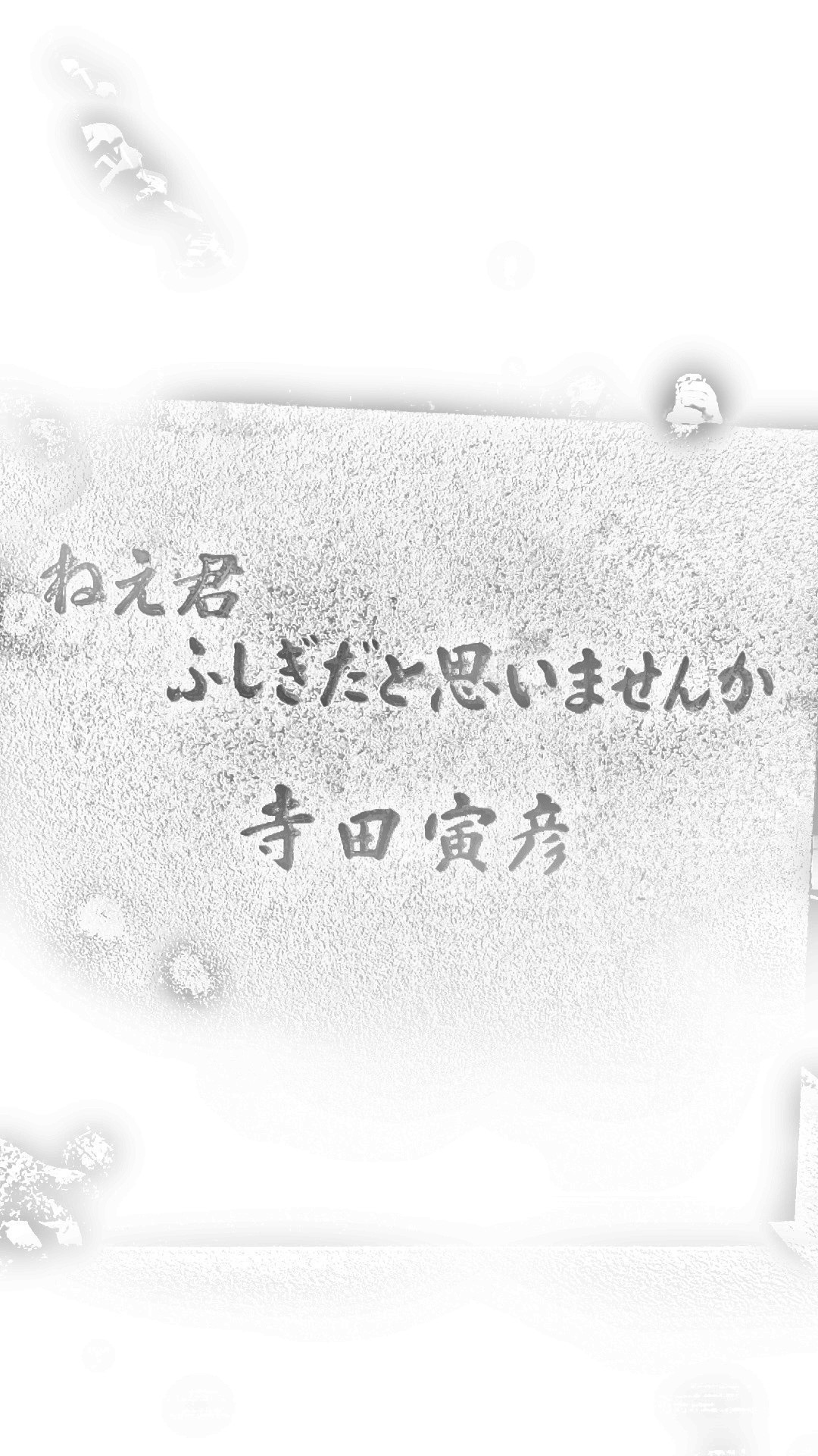 2024年2月イベント写真2