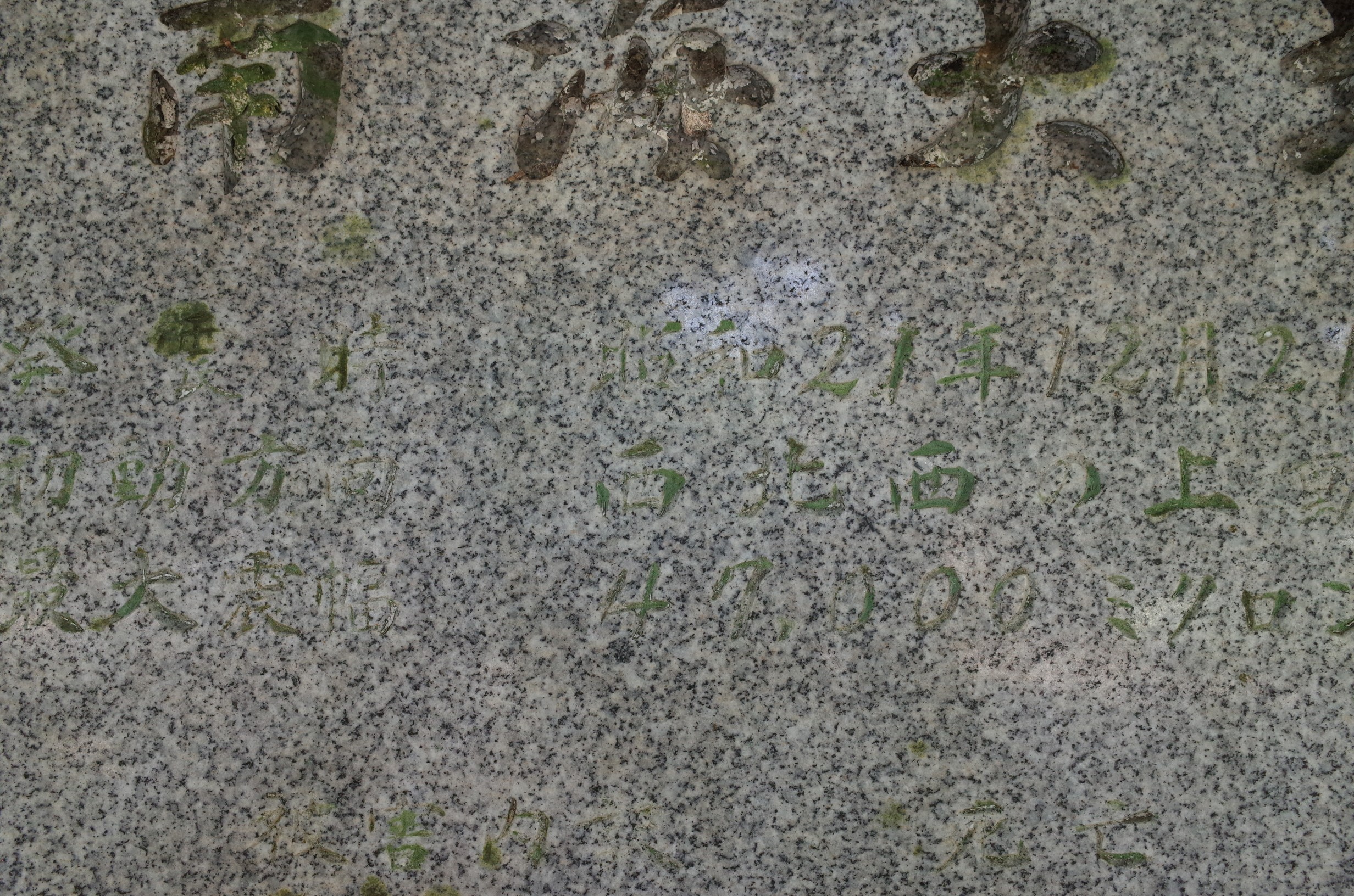 入野賀茂神社南海大地震の碑 画像4