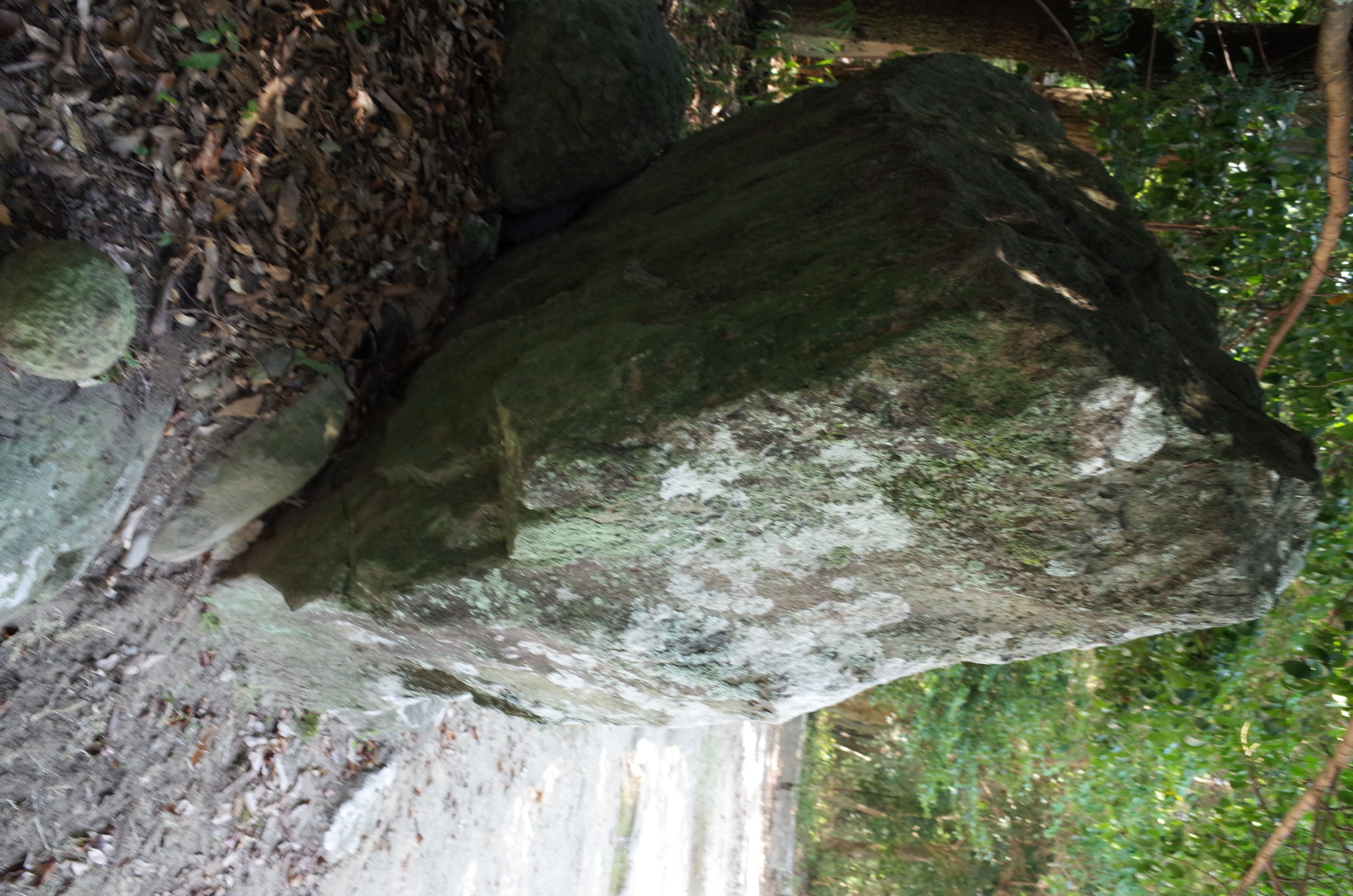 入野加茂神社震災碑 画像2
