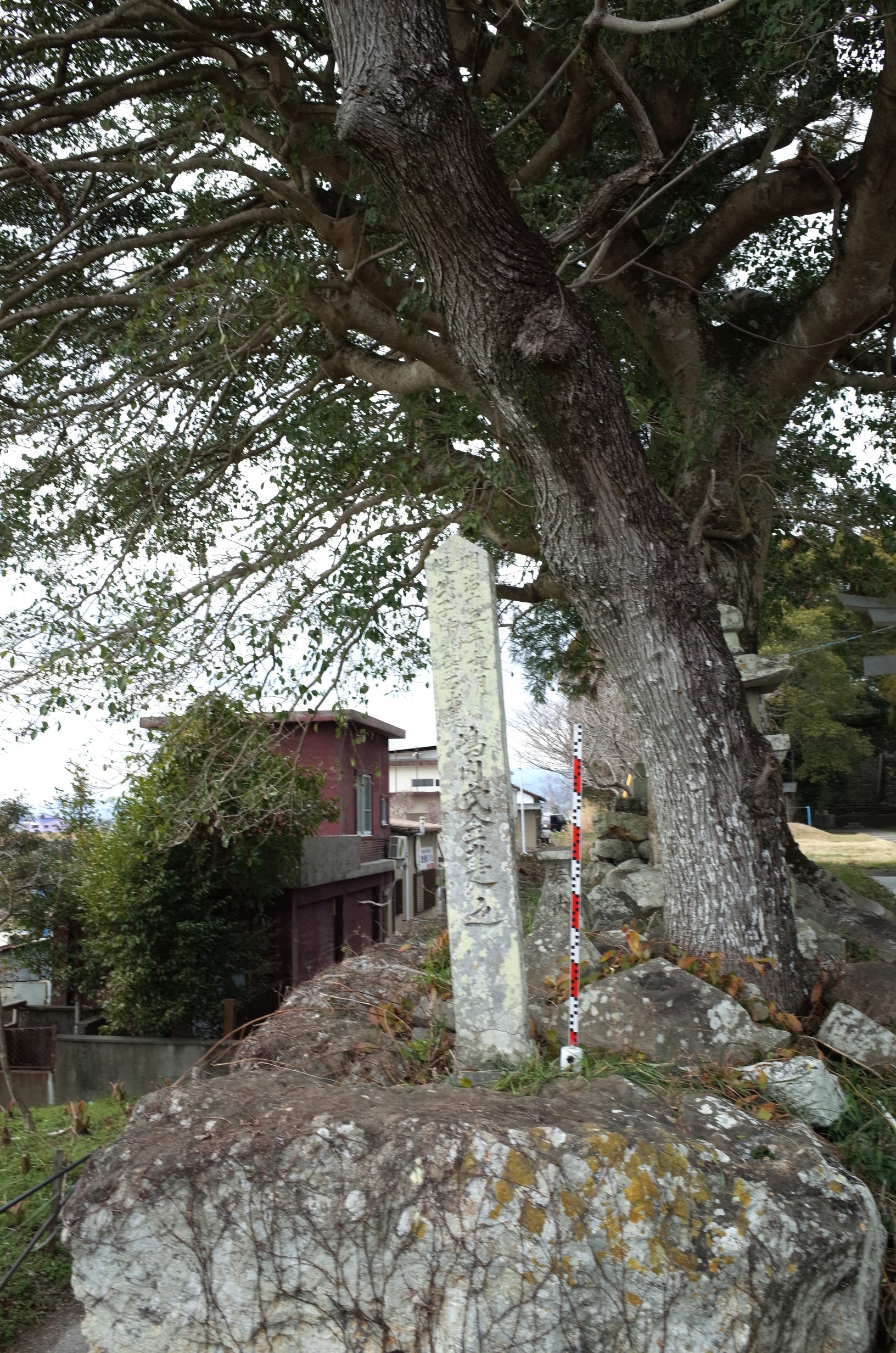 上岡八幡宮震災碑 画像3