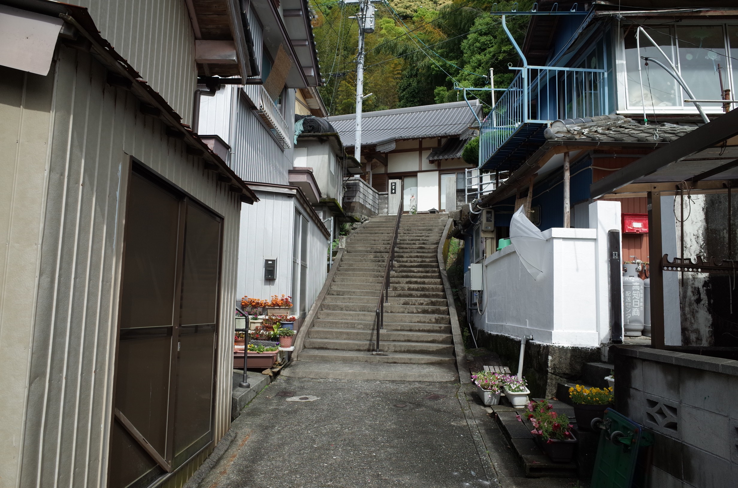 江雲寺 最高潮之跡碑 画像2