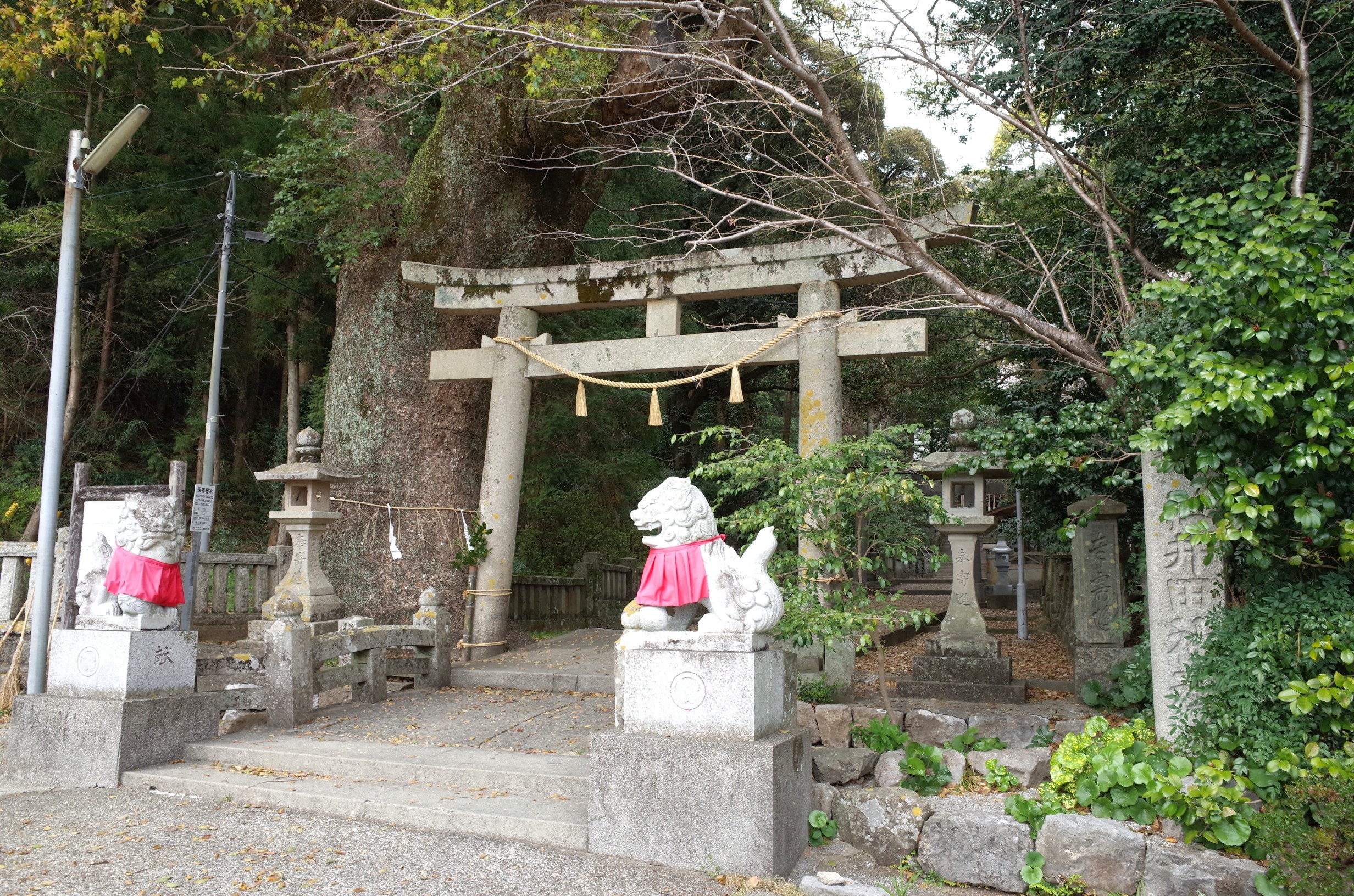 三里仁井田神社玉垣碑 画像4