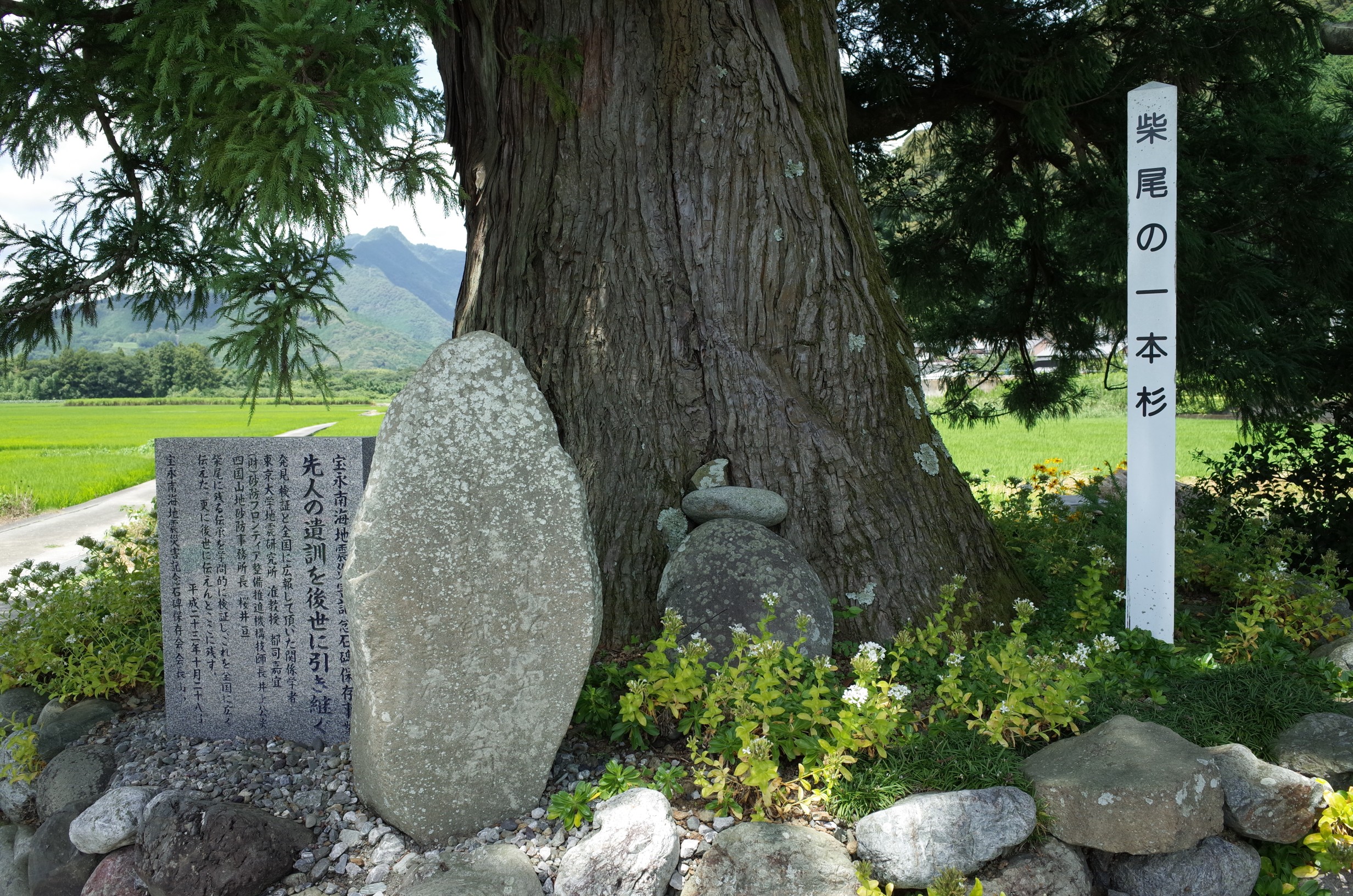 越知町柴尾の石碑 画像2