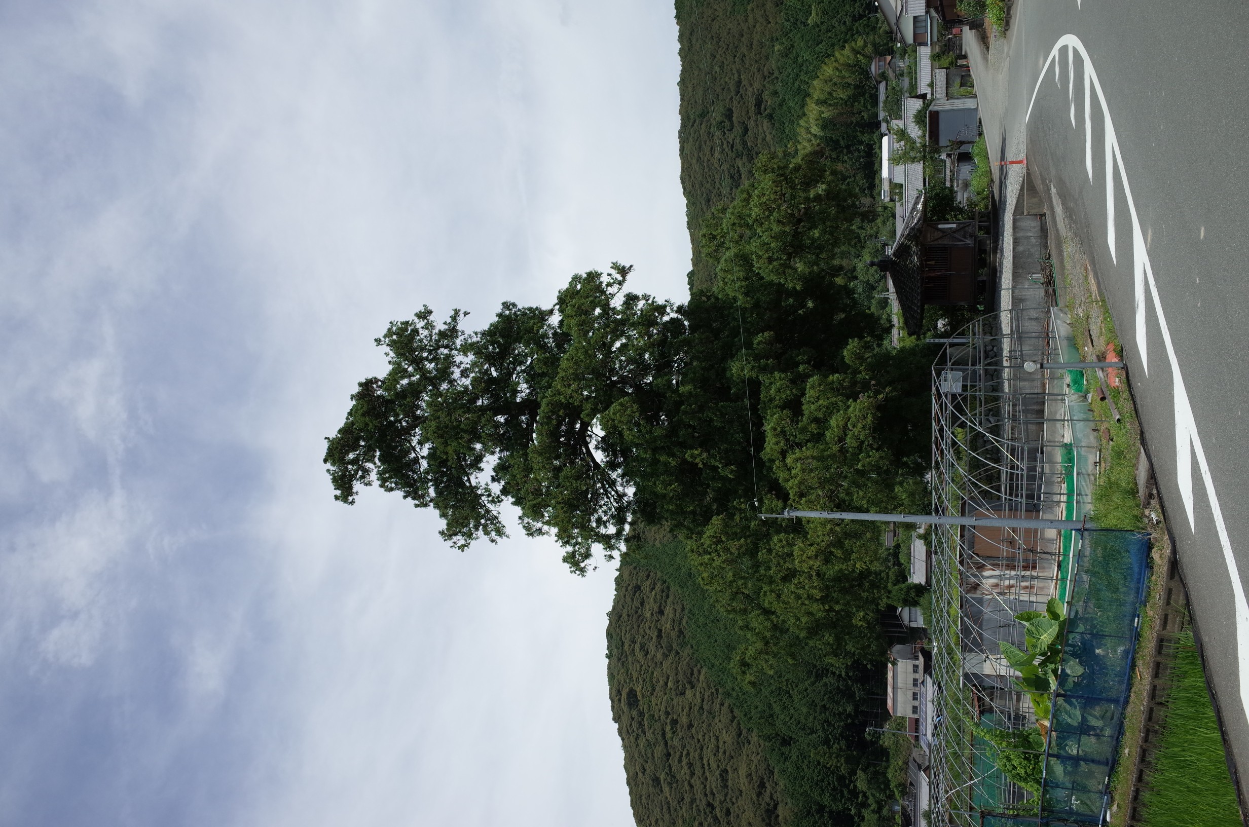 越知町柴尾の石碑 画像4