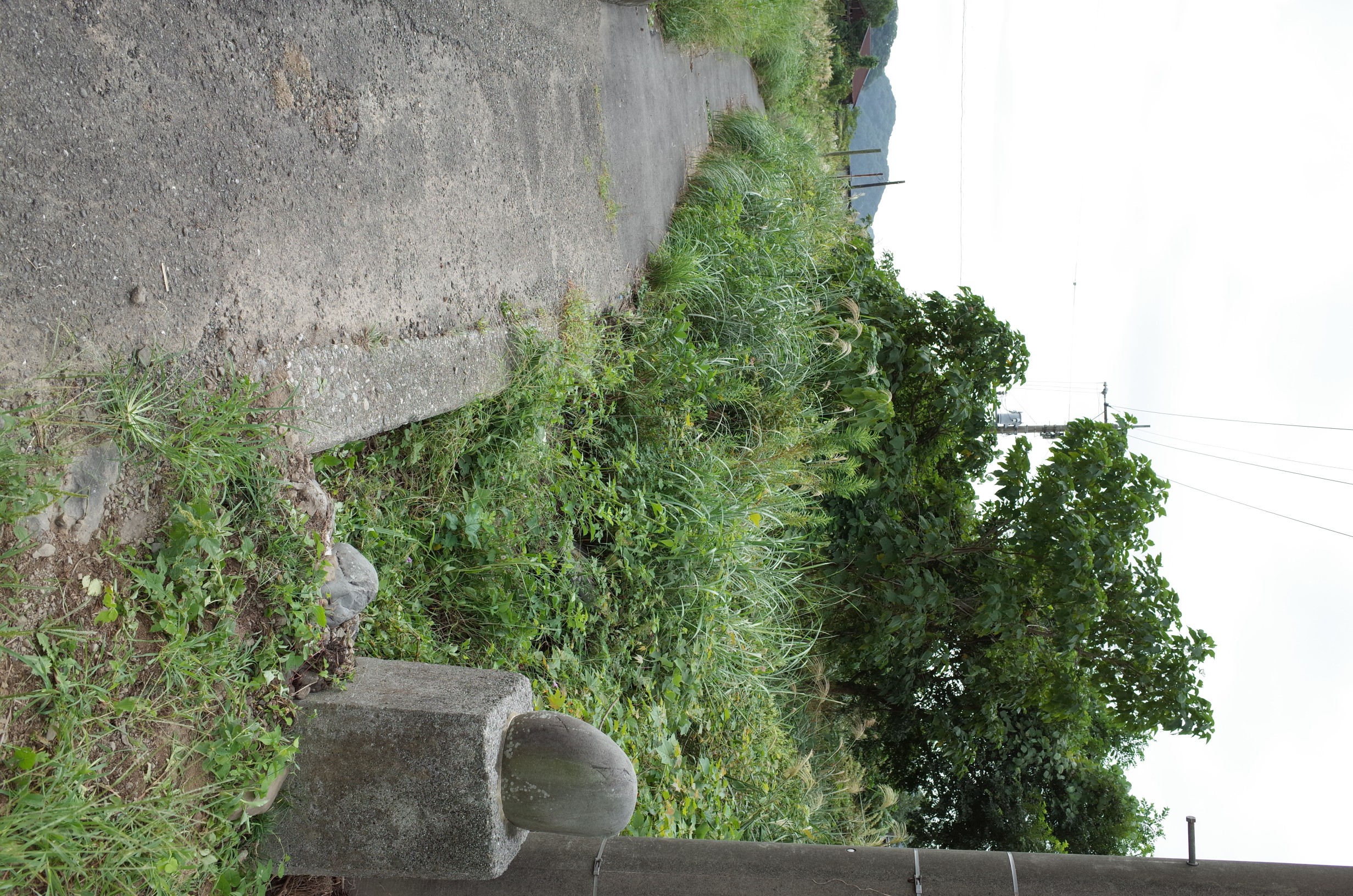 勢井の海岸 最高潮之跡碑 画像3