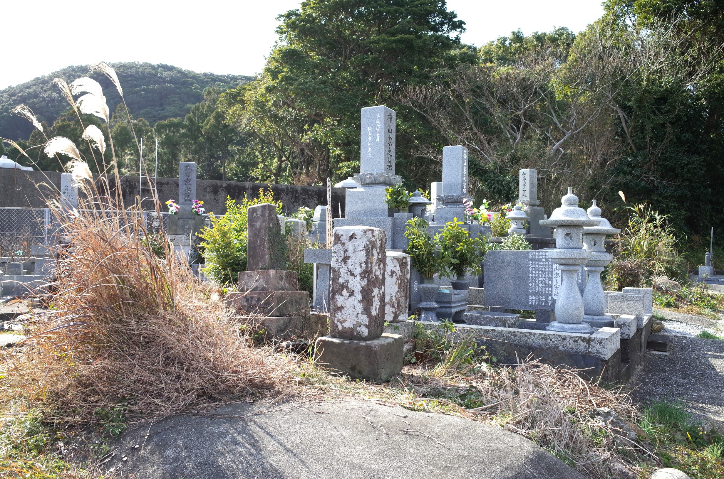 清水中浜峠池家墓碑 画像3