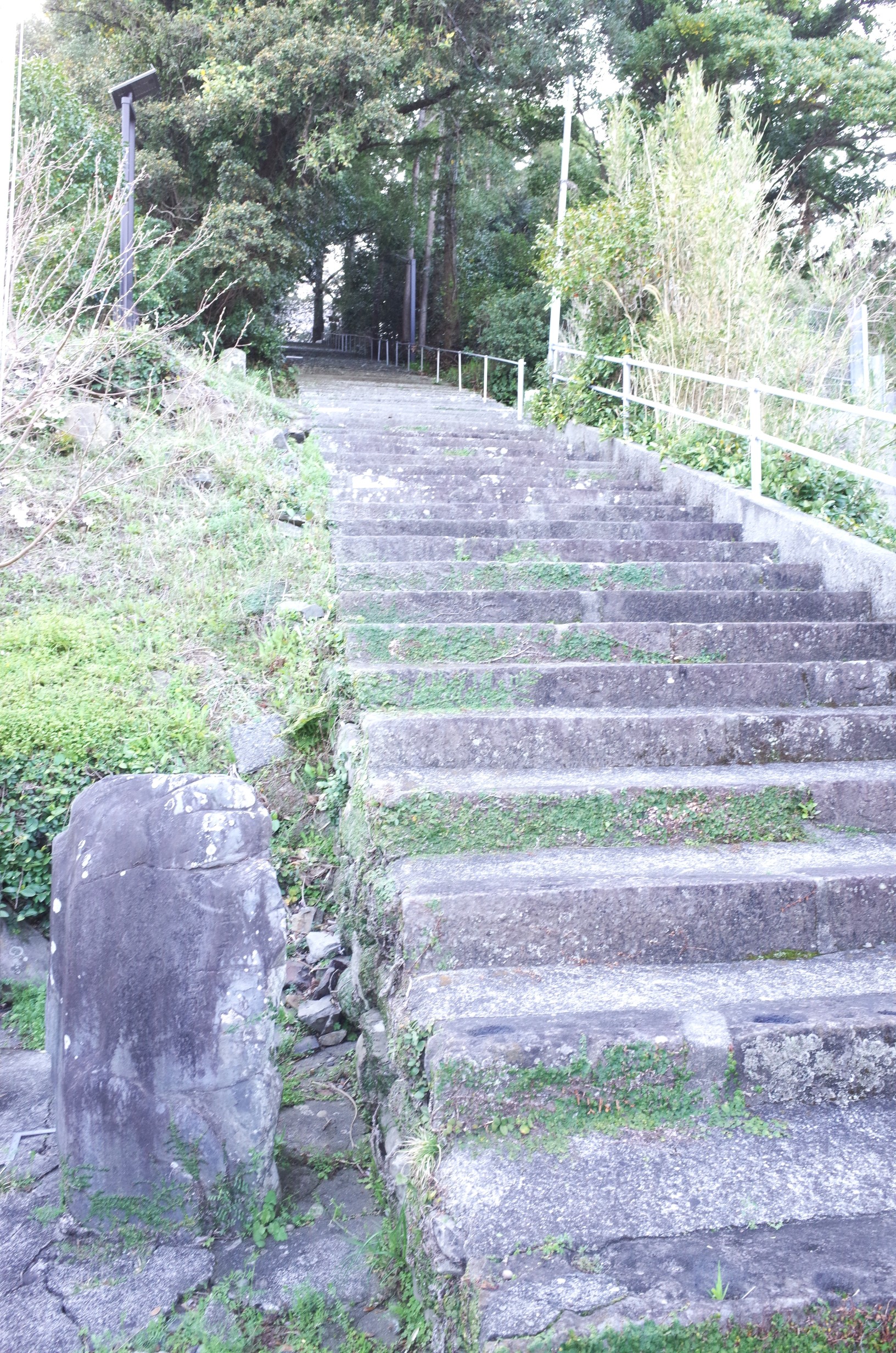 下川口春日神社地震碑 画像3