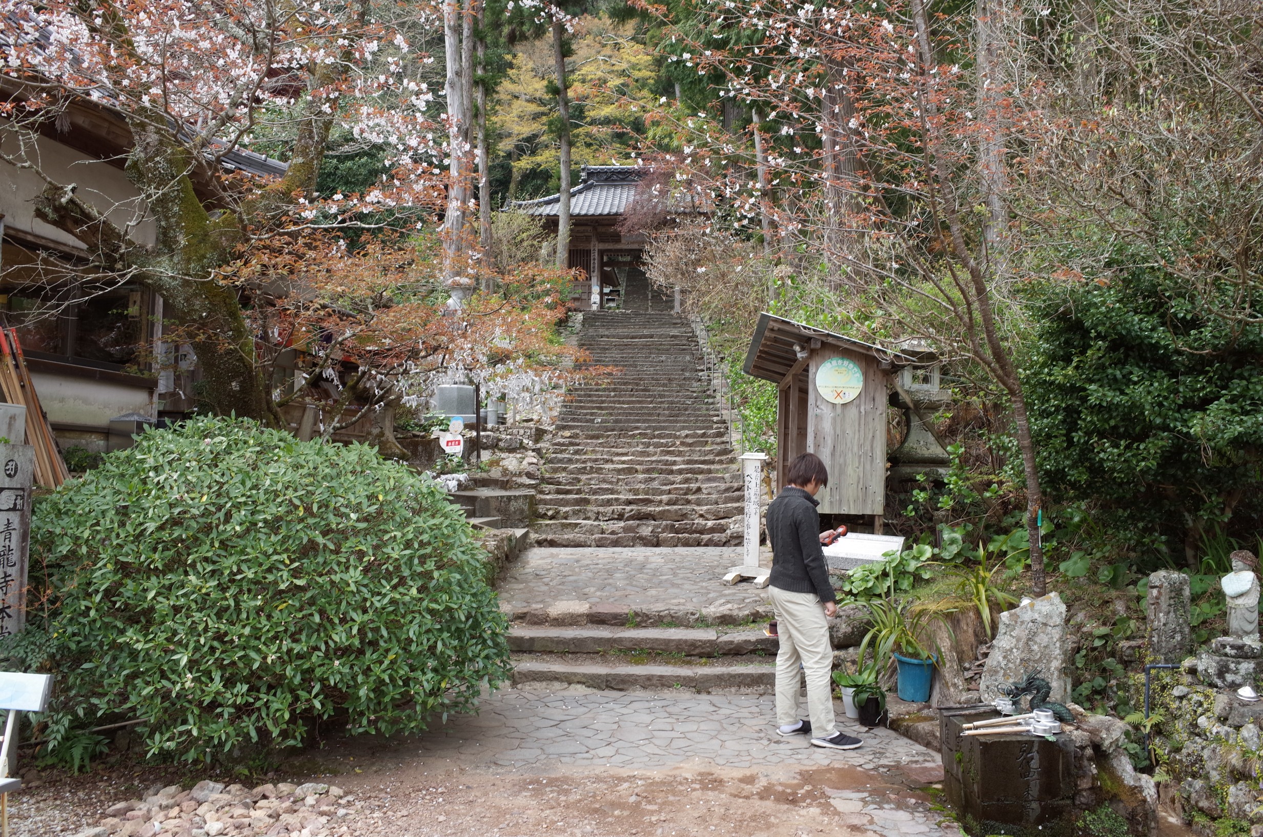 青龍寺国家繁栄碑 画像3