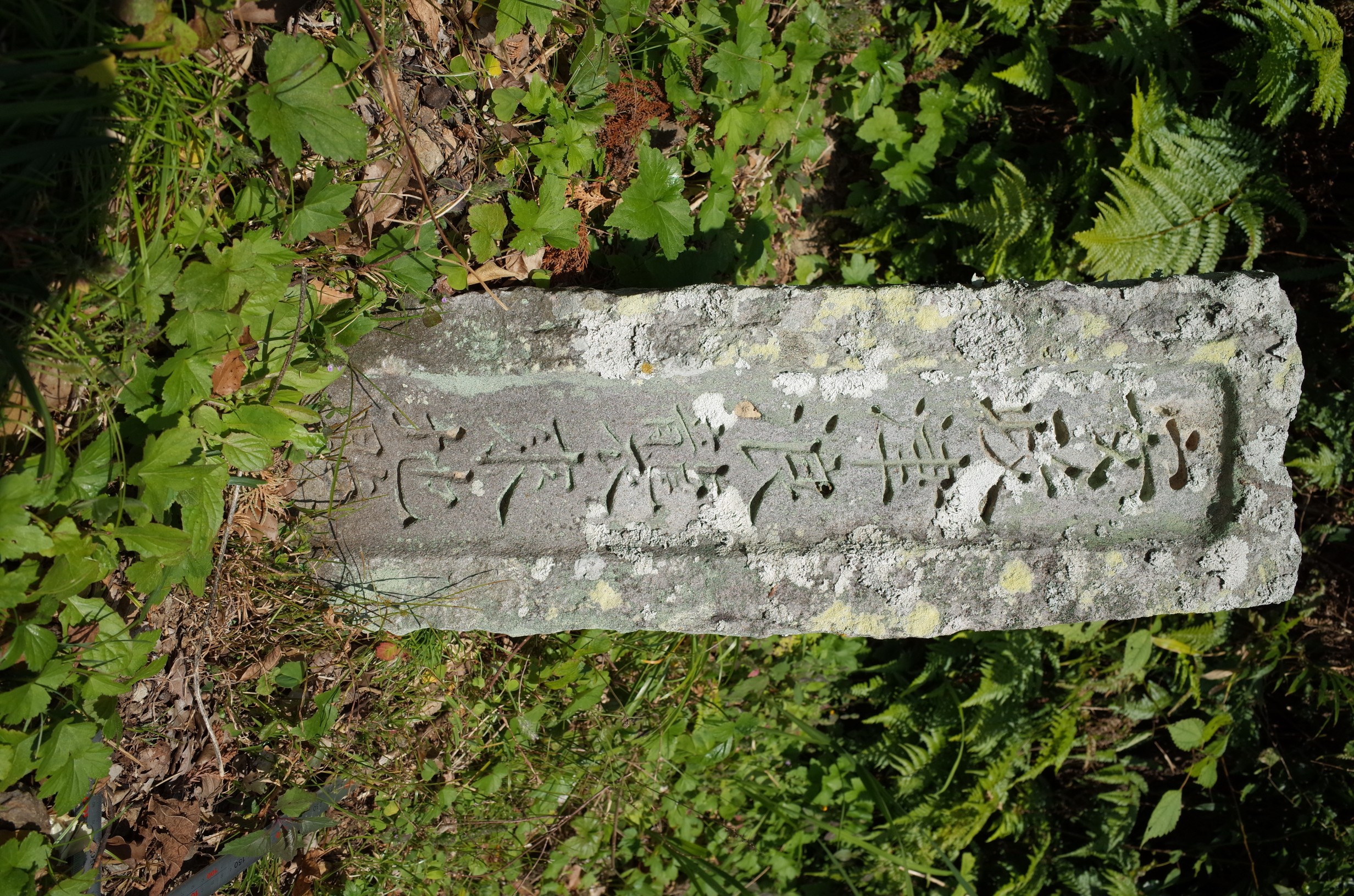 浅川観音庵安政地震津波襲来地点石標 サムネイル