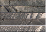 TCDPで採取されたコア試料の断面写真, 2005