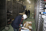 第1コア冷蔵保管庫内でコアの搬入・整理を実施するスタッフ。