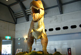 佐川地質館ではいつでも恐竜に会えるぞ！