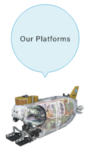 Our Platforms