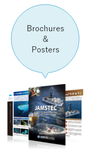 Brochures and Posters