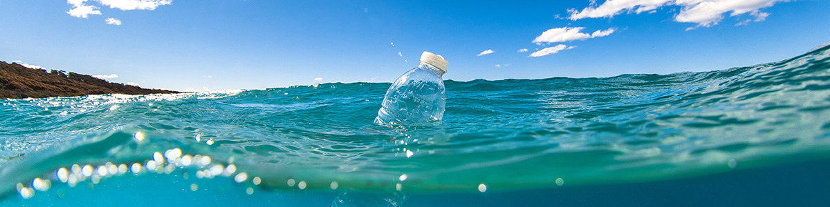 過去のトピックス