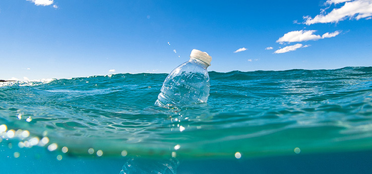 過去のトピックス