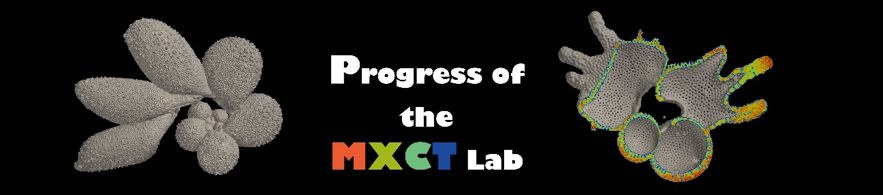 Microfocus X-ray CT lab News