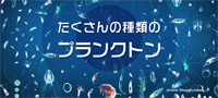 プランクトンと気候変動　Vol.2 プランクトンの多様性