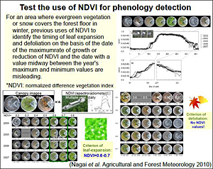 Test the use of NDVI for phenology detection