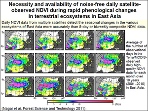 Necessity and availability of noise-free daily satellite-observed NDVI during rapid phenological changes in terrestrial ecosystems in East Asia
