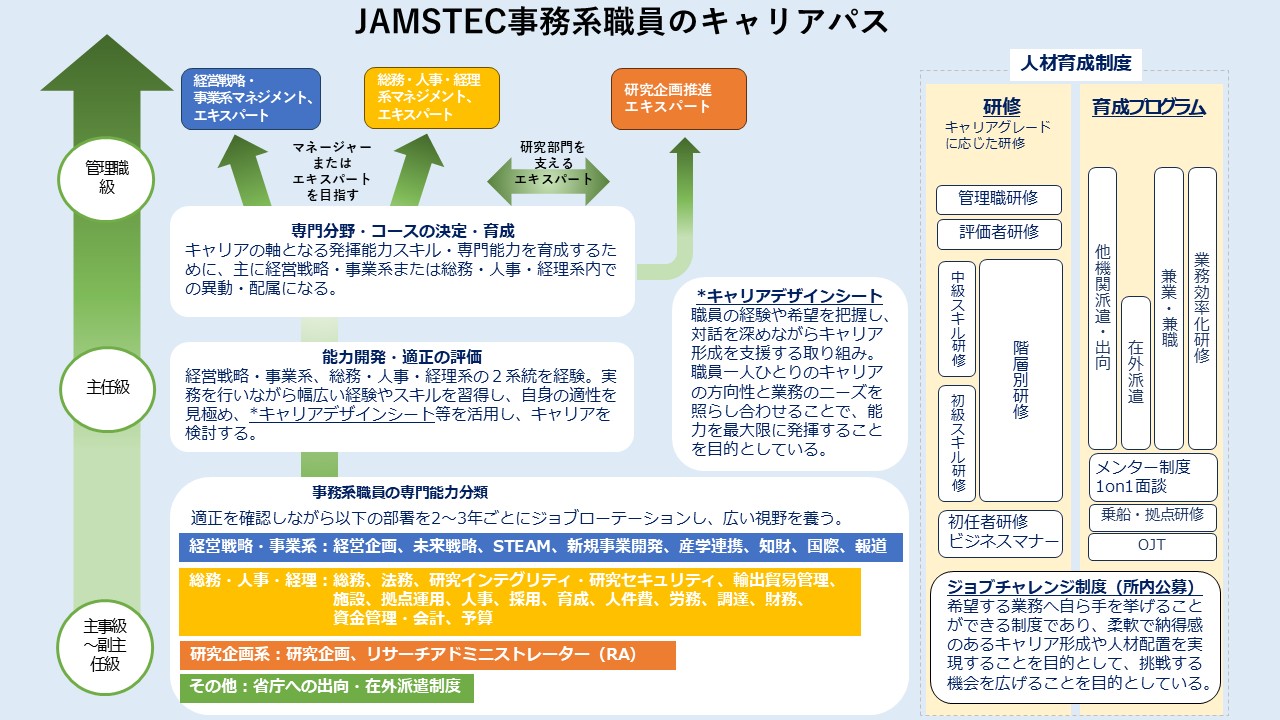 JAMSTEC事務系職員のキャリアパス