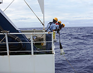 広域海底地形調査と併せて地磁気の調査も行った。その際曳航していたプロトン磁力計揚収2