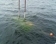 沈降試験は「しんかい6500｣に吊り上げ索（写真中央の2本の太いロープ）を付けたまま行います。