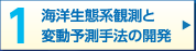 海洋生態系観測と変動予測手法の開発