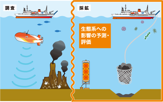 資源開発における海洋生態系の調査の様子