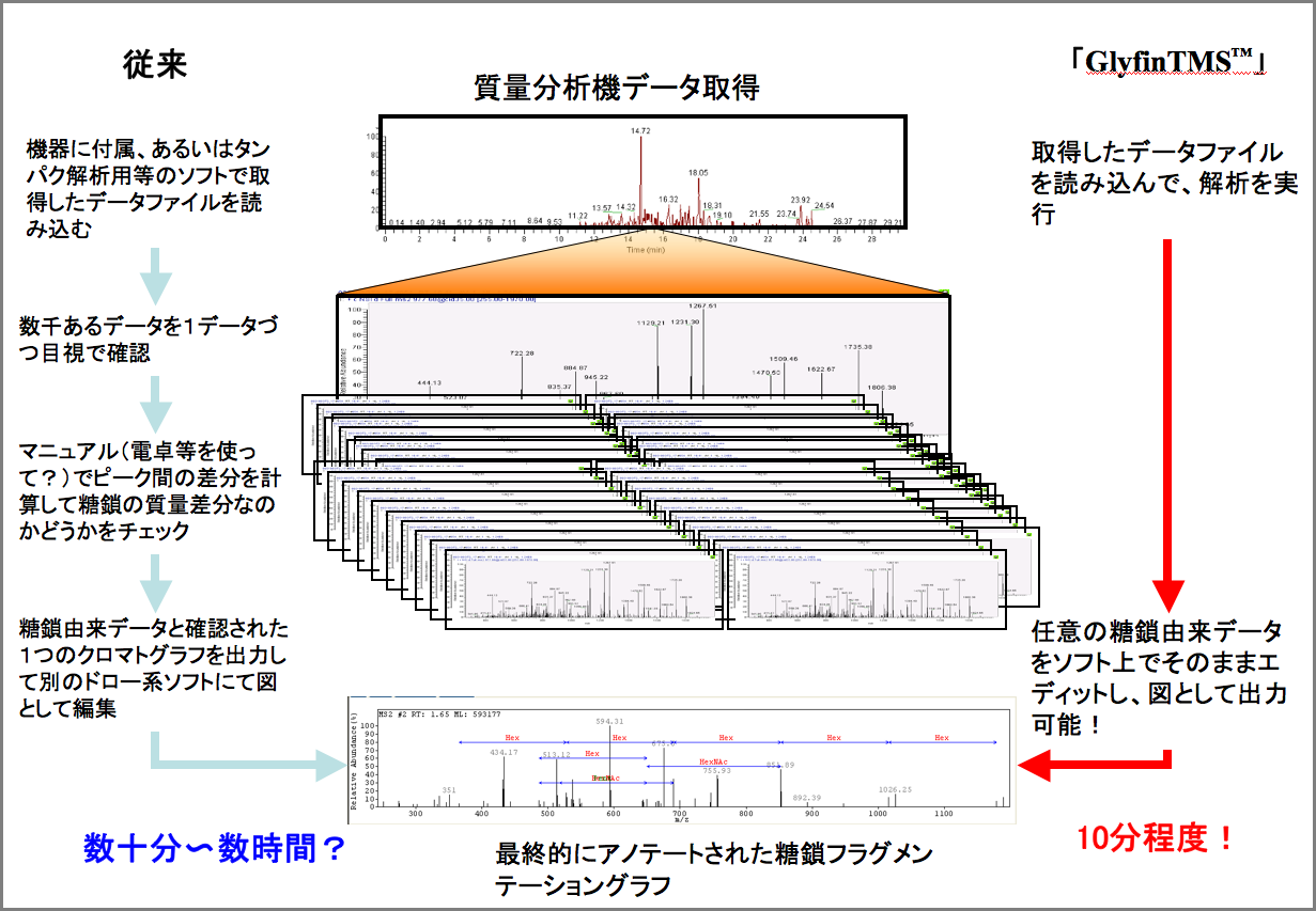 ]͎̉菇GlyfinTMS̔r