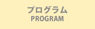 program